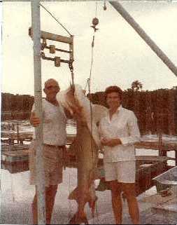 A big shark brought back to the Marathon dock in the early days