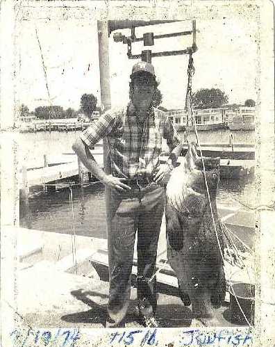 Old-days goliath grouper hung at the dock