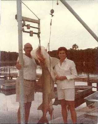 Vintage shark catch from the family archives