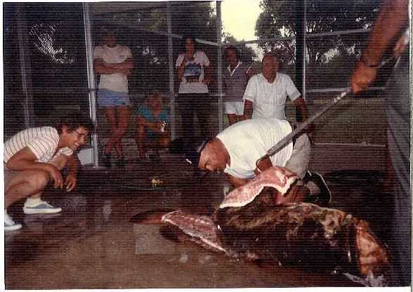 Cleaning the catch: a Keys family tradition going back generations