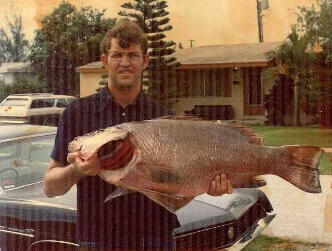 A grouper from the family's early charter days