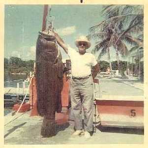 Historic catch: an enormous goliath grouper at the Marathon dock